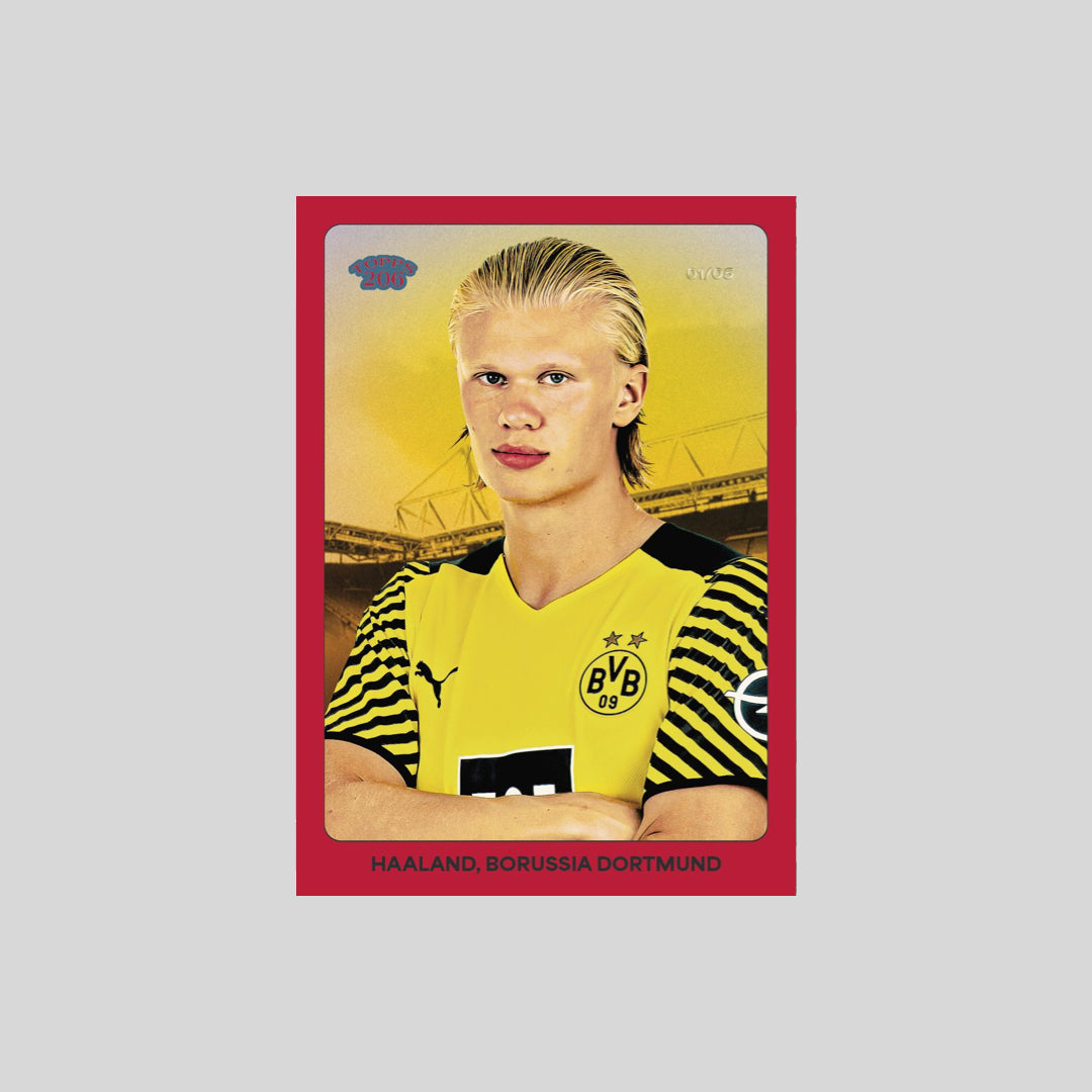 2024-25 Topps Soccer BVB Borussia Dortmund Team Set